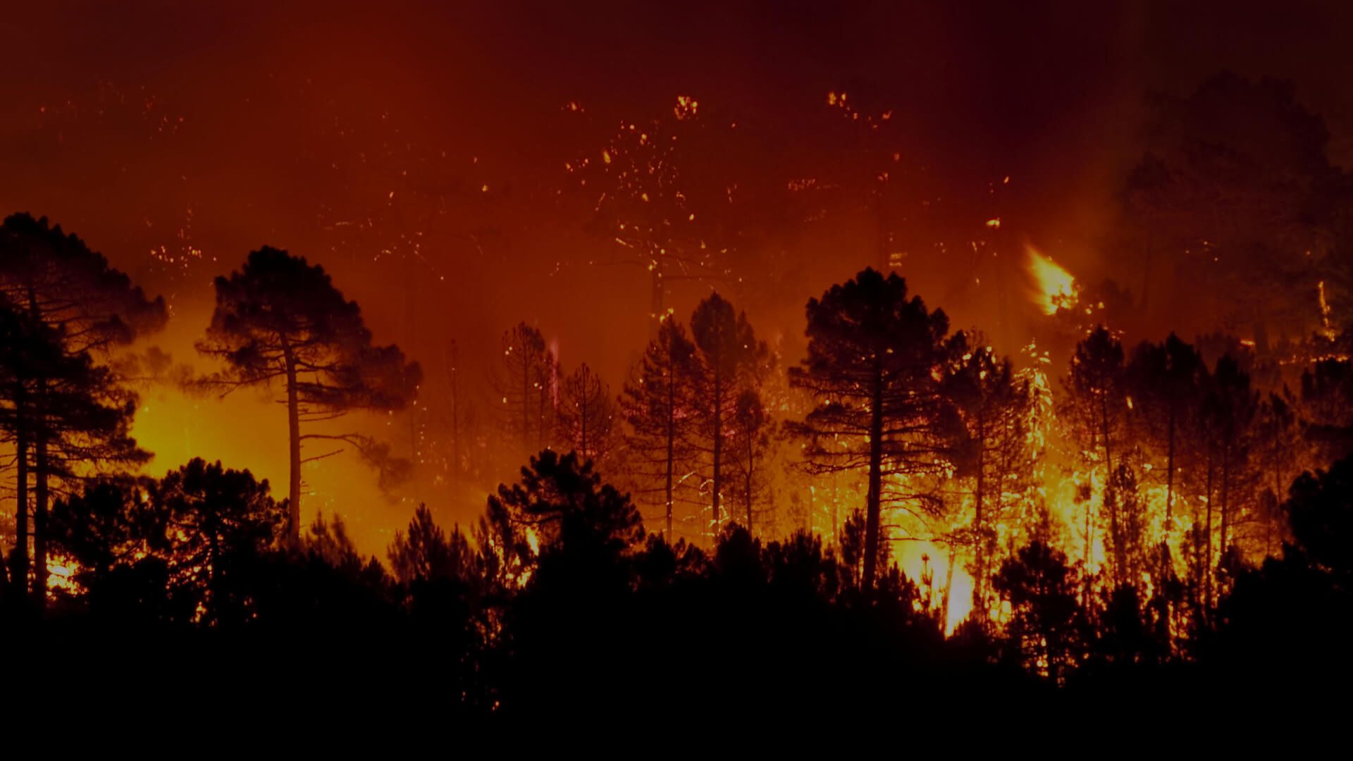 1K+ Properties Potentially Damaged, Destroyed in New Mexico Wildfires ...